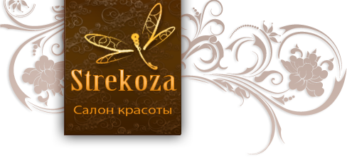 Стрекоза лого салон красоты. Вывеска салон красоты Стрекоза. Золотая Стрекоза парикмахерская логотип. Салон Стрекоза парикмахерские услуги.