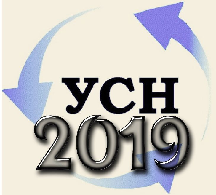 Усн 2019 год. УСН В 2019 году. УСН футболка.