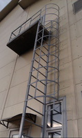 Вертикальные пожарные лестницы П 1-2, цена за п.м.