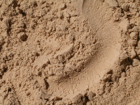 Песок речной тонкий (0,7-1 мм) с доставкой