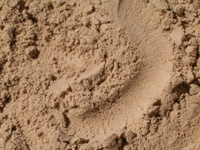 Песок речной среднезернистый (2-2,5 мм) с доставкой