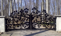 Ворота кованые в виде деревьев