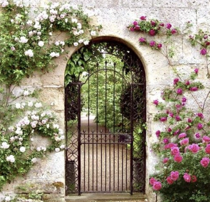 Калитка для забора. Гарден гейт (Garden Gate) плетистая. Ворота увитые плющом. Garden Gate Садовая калитка. Арка увитая плющом.