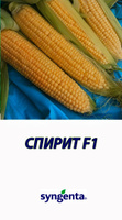 Семена кукурузы сахарной Спирит F1 Syngenta 1 кг