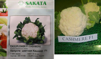 Семена капусты цветной Кашмир Sakata 1 000 с