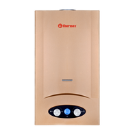 Водонагреватель Thermex G 20 D Golden brown