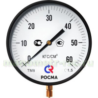 ТМ-810Р.00(0-0,25MPa)М20х1,5.150C.1,5 Манометр котловой диам. 250 мм; тип ТМ; серия 10; кт 1,5; корпус/кольцо: материал-