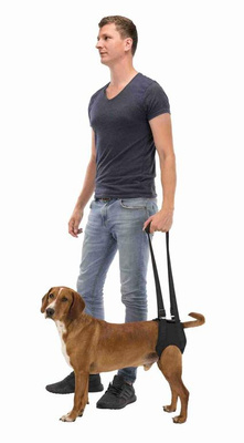 Защитный и фиксирующий бандаж для задних или передних лап собаки