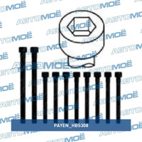 Комплект болтов гбц HBS308 Payen для KIA