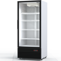 Шкаф холодильный Премьер ШВУП1ТУ-0,7 С (С, +1…+10)
