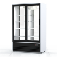 Шкаф холодильный Премьер ШВУП1ТУ-1,12 К2 (В, +1…+10) тропик