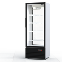 Шкаф холодильный Премьер ШВУП1ТУ-0,55 С2 (В, +5…+10) тропик