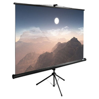 Экран напольный рулонный 180x180см Cactus TriExpert CS-PSTE-180X180-BK, 1:1 черный