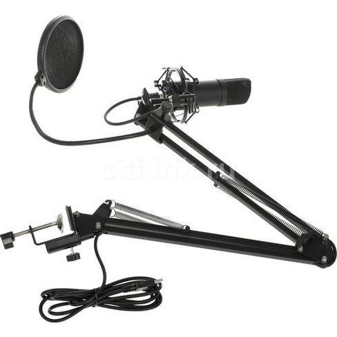 Микрофон Ritmix RDM-180, черный [80000153]
