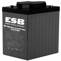 Тяговый аккумулятор ESB HTL6-225