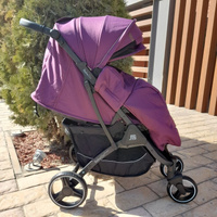 Детская прогулочная коляска Baballo Future 2023 цвет фиолетовый