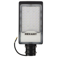 Светильник Rexant 607-305 светодиодный консольный ДКУ 01-70-5000К общего назначения IP65 6000Лм черный REXANT