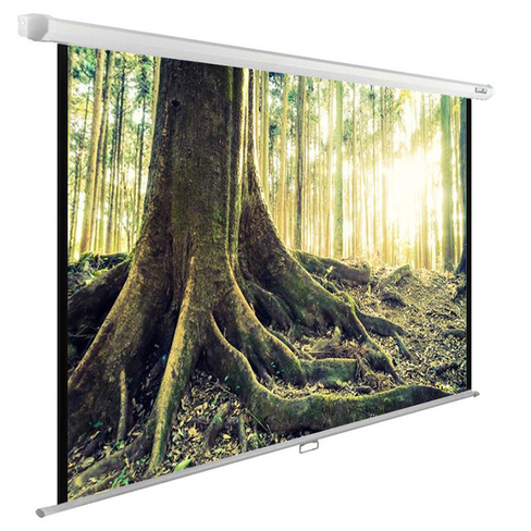 Экран настенно-потолочный рулонный 220x220см Cactus WallExpert CS-PSWE-220X