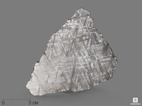 Метеорит Muonionalusta, пластина 10,3х9,4х0,2 см (81,6 г)